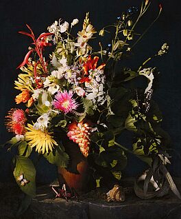 Andrew Putter - Hottentots Holland Flora Capensis 5, 300001-3512, Van Ham Kunstauktionen