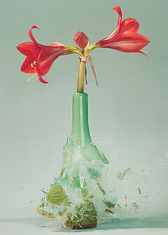 Martin Klimas - Ohne Titel Amaryllis IV, 70001-775, Van Ham Kunstauktionen