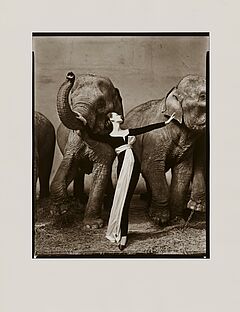 Richard Avedon - Dovima with Elephants, 82008-2053, Van Ham Kunstauktionen