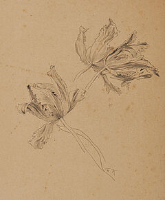 Friedrich Kallmorgen - Konvolut aus zwei Naturstudien Baumstudie Studie zu Papageientulpen, 69447-99, Van Ham Kunstauktionen