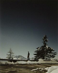 Andreas Muehe - Konvolut aus 6 Arbeiten Der General Hitlerjunge SA Tarnung SA-Mann am Moosslahnerhof Soldat am Hintersee SS-Mann am Scheritzkehl, 56801-2414, Van Ham Kunstauktionen