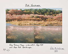 Peter Arthur Hutchinson - Fish Landscape, 75280-317, Van Ham Kunstauktionen