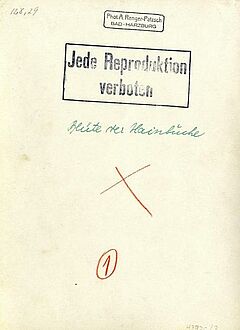 Albert Renger-Patzsch - Auktion 312 Los 154, 48926-3, Van Ham Kunstauktionen