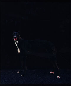 Ebru Eruelkue - Exile Wink, 68004-40, Van Ham Kunstauktionen