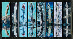 Jana Euler - Great White Fear Horizon, 81718-5, Van Ham Kunstauktionen