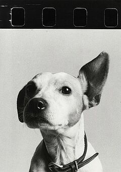 Ulrich Tillmann - Auktion 307 Los 1833, 47280-4, Van Ham Kunstauktionen