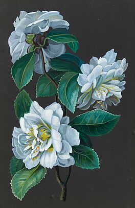 Michael Wentzel - zugeschrieben - Drei Blumenstudien, 68008-460, Van Ham Kunstauktionen