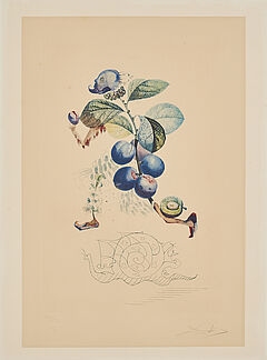 Salvador Dali - Prunier hatif Aus Flordali Les Fruits, 70163-3, Van Ham Kunstauktionen