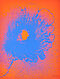 Otto Piene - Juli Aus Feuerflora, 70201-14, Van Ham Kunstauktionen