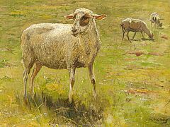 Hugo Muehlig - Studie dreier Schafe, 58208-13, Van Ham Kunstauktionen