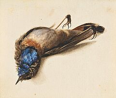 Deutsche Schule - Studie mit Blaukehlchen, 73396-53, Van Ham Kunstauktionen