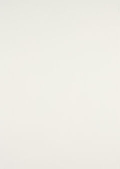 Jordan Wolfson - Ohne Titel fuer Parkett 100101, 77046-123, Van Ham Kunstauktionen