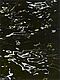 Andreas Gursky - Bangkok III Detail, 66782-1, Van Ham Kunstauktionen