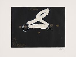 Antoni Tapies - Auktion 306 Los 816, 47301-9, Van Ham Kunstauktionen