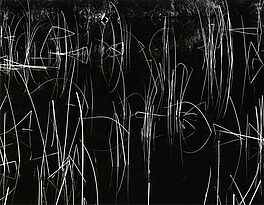 Brett Weston - Auktion 318 Los 1275, 50493-93, Van Ham Kunstauktionen