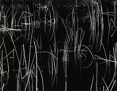 Brett Weston - Auktion 318 Los 1275, 50493-93, Van Ham Kunstauktionen