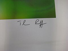 Thomas Ruff - Auktion 312 Los 442, 49679-1, Van Ham Kunstauktionen