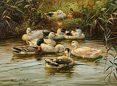 Hubert Kaplan - Enten am Flussufer, 80877-3, Van Ham Kunstauktionen