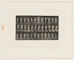 Eadweard Edward James Muybridge - Animal Locomotion Plate 78, 68004-183, Van Ham Kunstauktionen