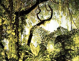 Peter Bialobrzeski - Auktion 318 Los 1365, 49760-3, Van Ham Kunstauktionen