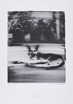 Gerhard Richter - Hund, 75280-247, Van Ham Kunstauktionen