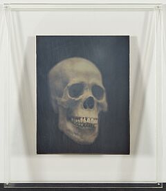 Adam Fuss - Ohne Titel, 68004-325, Van Ham Kunstauktionen