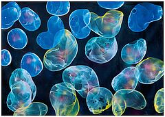 Jiri Georg Dokoupil - Ohne Titel, 77355-1, Van Ham Kunstauktionen