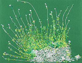 Mindy Shapero - Its the same place that we were when there was nothing anywhere except this time there is nothing everywhere, 73375-26, Van Ham Kunstauktionen