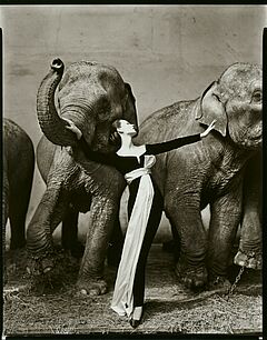 Richard Avedon - Dovima with Elephants, 82008-2053, Van Ham Kunstauktionen