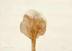 Otto Piene - Modell fuer fliegende Plastik, 56845-1, Van Ham Kunstauktionen