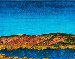 Mala Iqbal - Under the big sky, 300001-1907, Van Ham Kunstauktionen