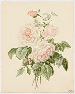 Monogrammist - Auktion 479 Los 174, 70420-20, Van Ham Kunstauktionen