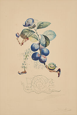Salvador Dali - Prunier hatif Aus Flordali Les Fruits, 70163-3, Van Ham Kunstauktionen