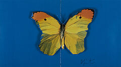 Damien Hirst - Butterfly, 75037-4, Van Ham Kunstauktionen