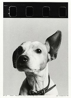 Ulrich Tillmann - Auktion 307 Los 1833, 47280-4, Van Ham Kunstauktionen