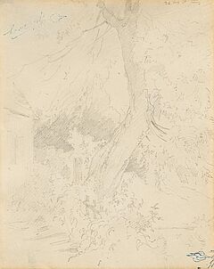 Carl Spitzweg - Baumstudie im Garten, 75390-4, Van Ham Kunstauktionen