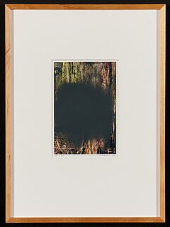 Gerhard Richter - Wald 7480 Aus Wald II, 77511-3, Van Ham Kunstauktionen