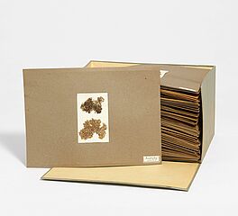 Sammlung von Flechten in Archivbox, 68008-350, Van Ham Kunstauktionen