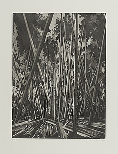 David Schnell - Abkuerzung, 300001-4179, Van Ham Kunstauktionen