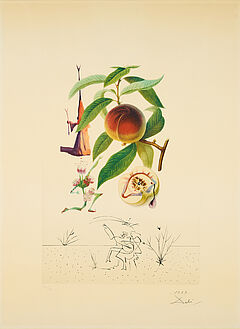 Salvador Dali - Pecheur penitant Aus FlordaliLes Fruits, 77579-1, Van Ham Kunstauktionen
