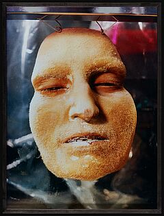 Floria Sigismondi - Hanging face, 68004-217, Van Ham Kunstauktionen