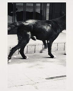 Christopher Wool - Ohne Titel fuer Parkett 33, 77046-41, Van Ham Kunstauktionen