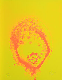 Otto Piene - Feuerflora, 62034-7, Van Ham Kunstauktionen