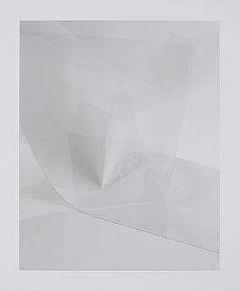 Ingo Mittelstaedt - Loss 4, 300001-3118, Van Ham Kunstauktionen
