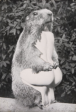 Alexandra Baumgartner - Ohne Titel, 75945-7, Van Ham Kunstauktionen