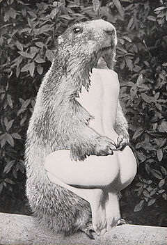 Alexandra Baumgartner - Ohne Titel, 75945-7, Van Ham Kunstauktionen