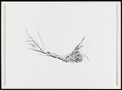 Rachel Goodyear - Fallen Tree, 68003-466, Van Ham Kunstauktionen