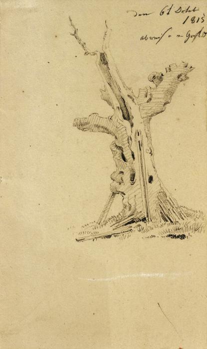 Caspar David Friedrich - Studie eines abgestorbenen Baumes, 30119-4, Van Ham Kunstauktionen