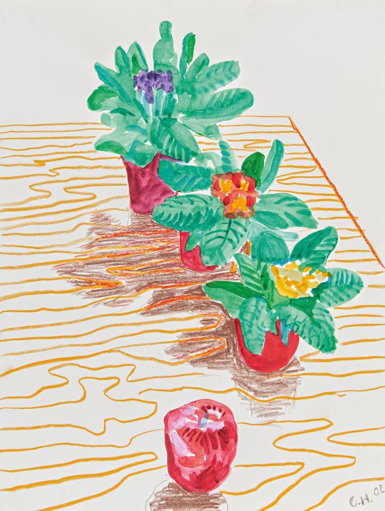 Purple, Pink and Yellow African Violets with Apple on Table, New York 60567-665245, Auktion 186 Los 236, Van Ham Modern
